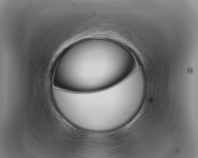 X0000097471506200802220818