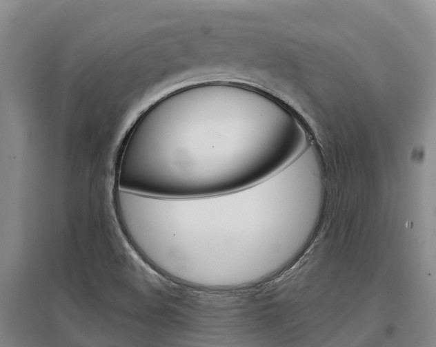X0000097471508200802220818