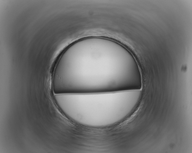 X0000097471509200802220818