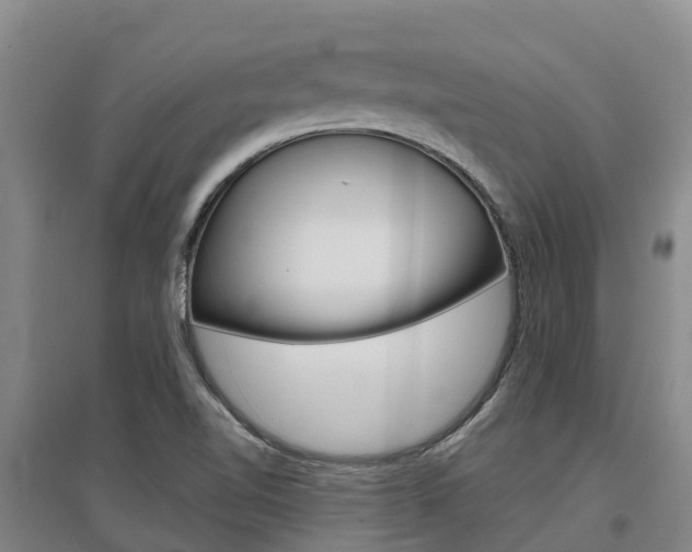X0000097471510200802220818