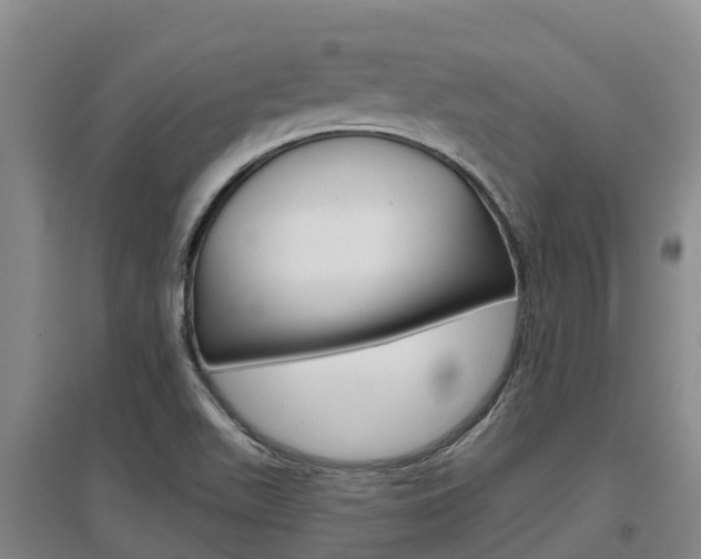 X0000097471511200802220818