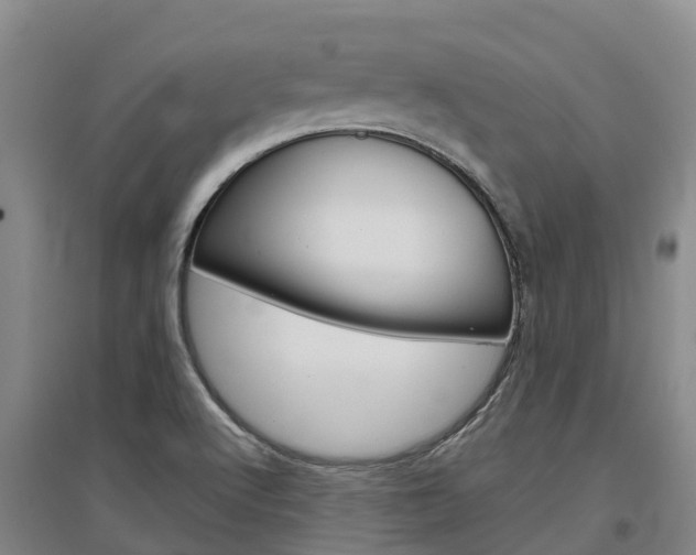X0000097471512200802220818