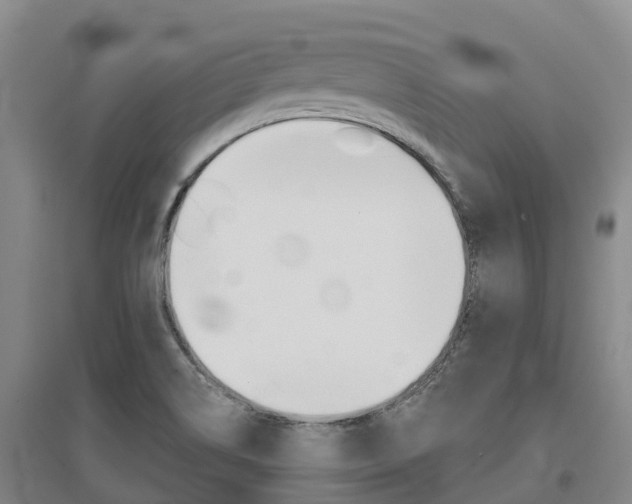 X0000097471514200802220818