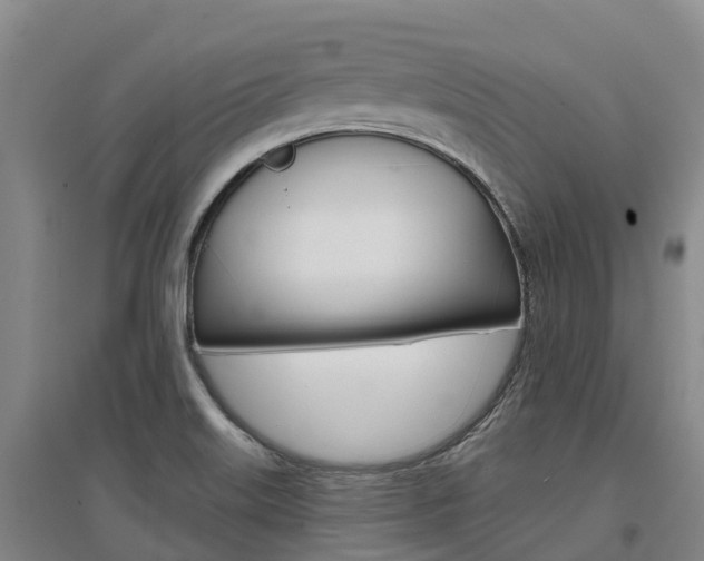 X0000097471515200802220818