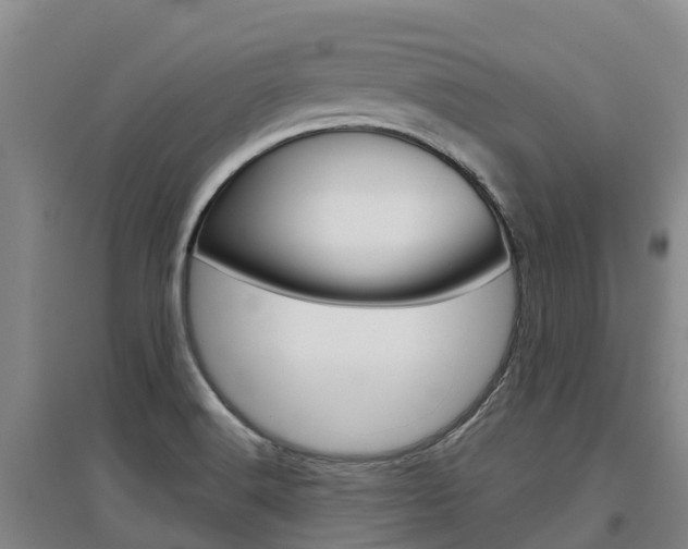 X0000097471516200802220818
