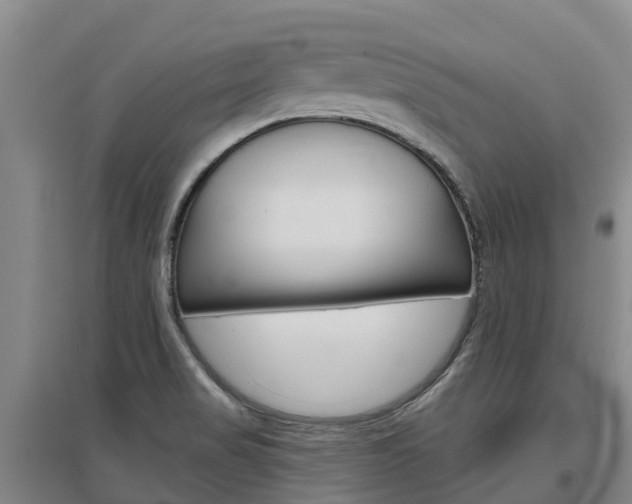 X0000097471517200802220818