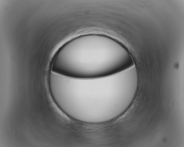 X0000097471518200802220818