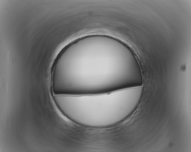 X0000097471519200802220818
