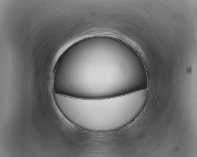 X0000097471520200802220818