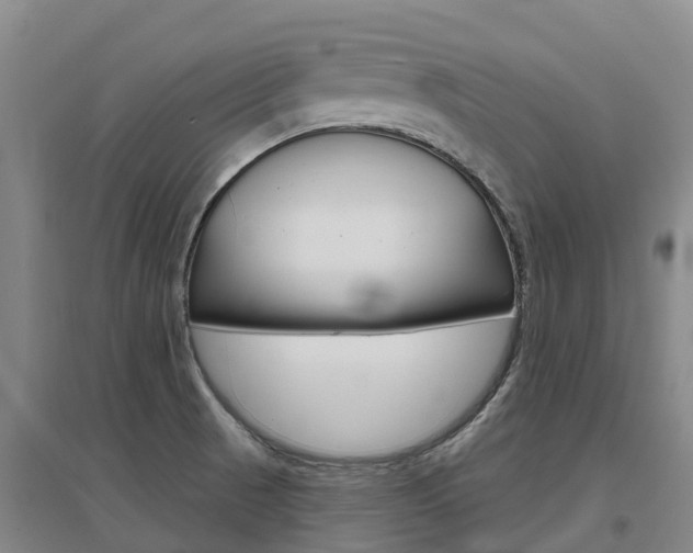 X0000097471521200802220818