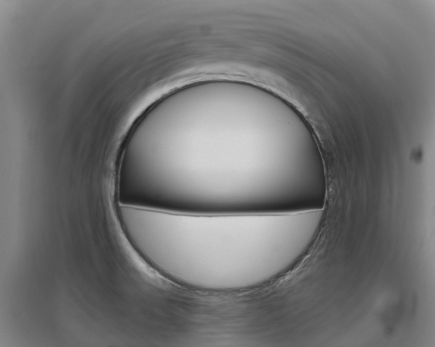 X0000097471523200802220818