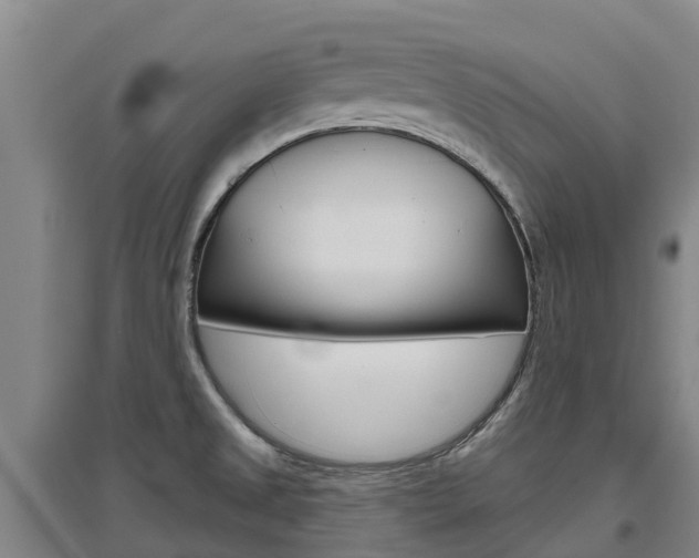 X0000097471525200802220818