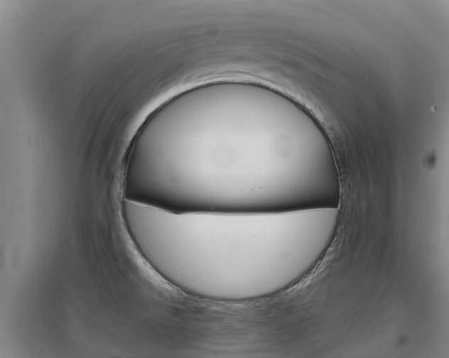 X0000097471526200802220818