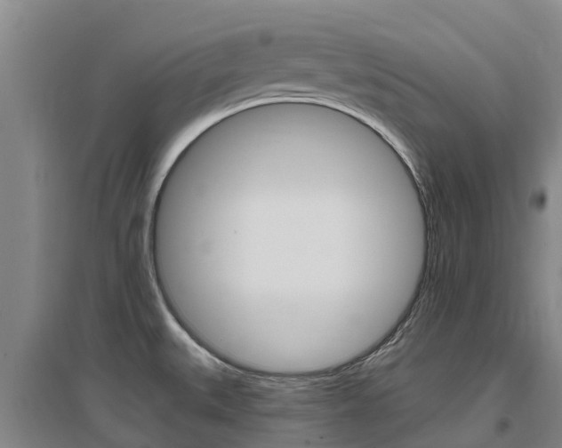 X0000097471527200802220818
