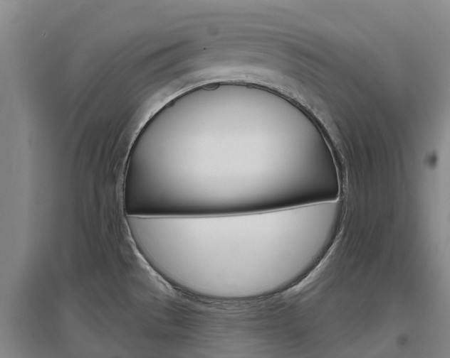 X0000097471529200802220818