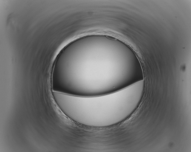 X0000097471530200802220818