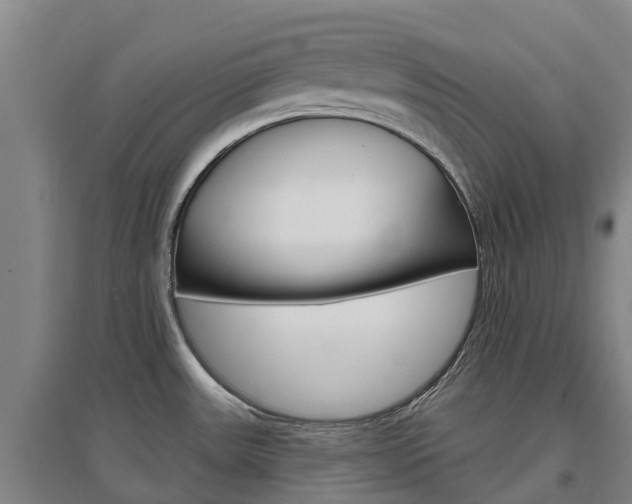 X0000097471531200802220818
