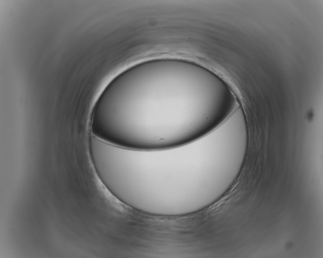 X0000097471532200802220818