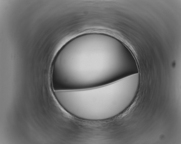 X0000097471533200802220818