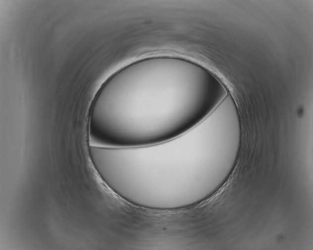 X0000097471534200802220818