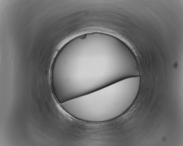 X0000097471535200802220818