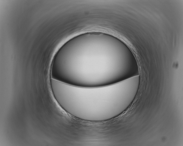 X0000097471536200802220818