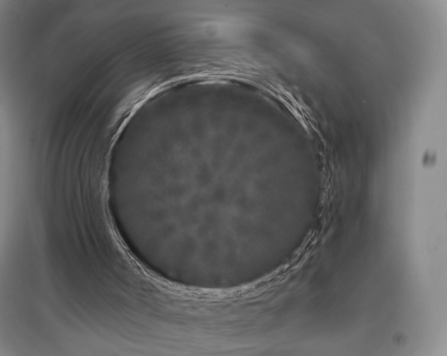 X0000097470002200802221246