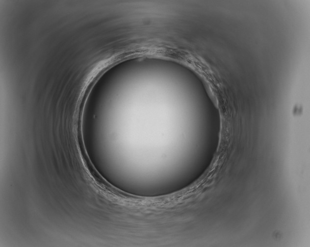X0000097470003200802221246