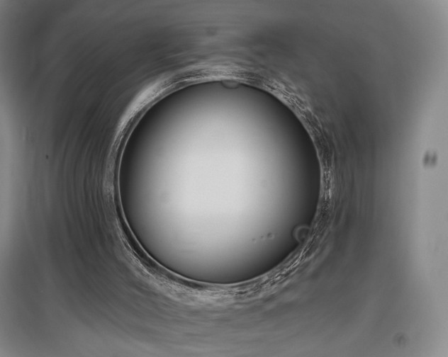 X0000097470004200802221246