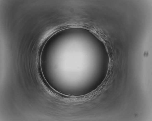 X0000097470005200802221246