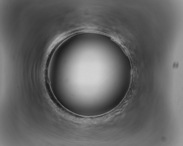 X0000097470007200802221246