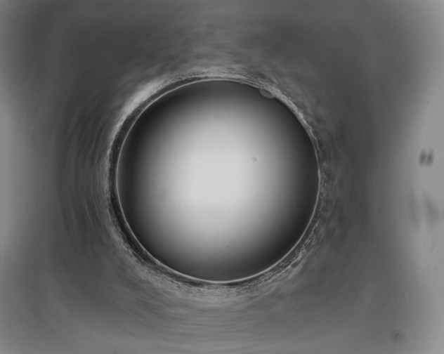 X0000097470008200802221246