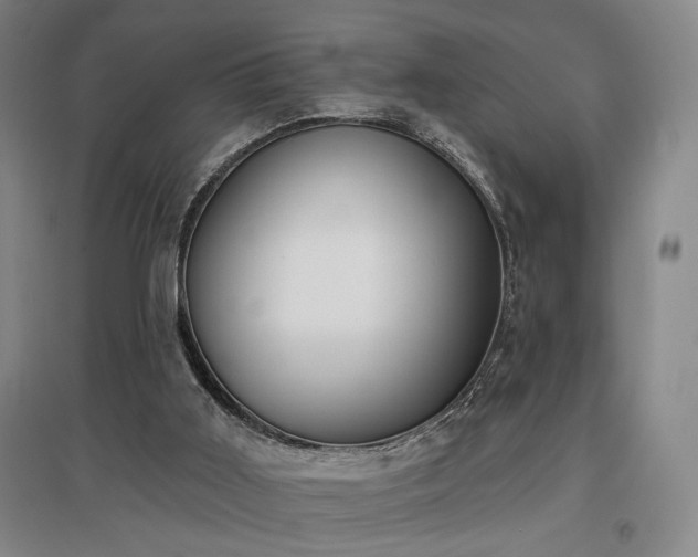 X0000097470011200802221246