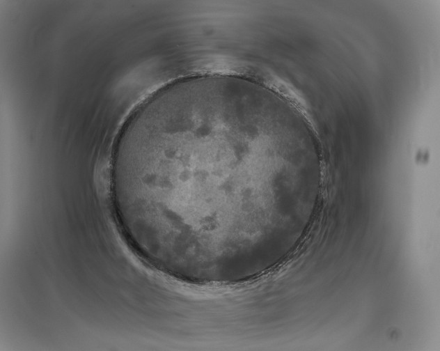 X0000097470012200802221246
