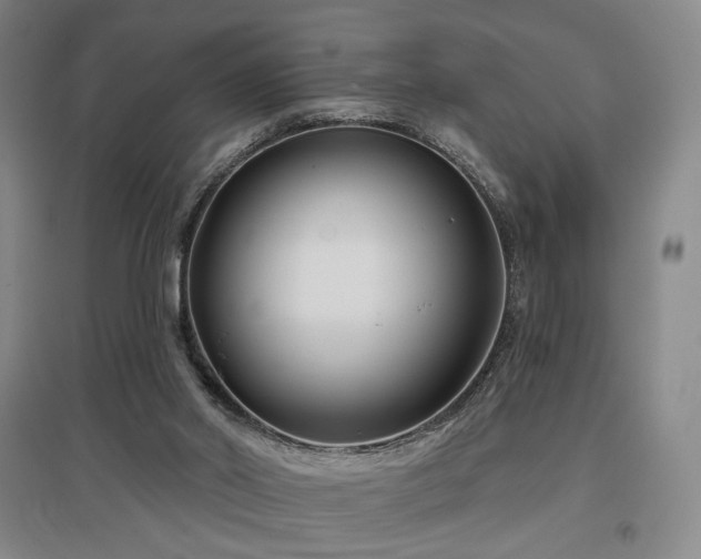 X0000097470014200802221246