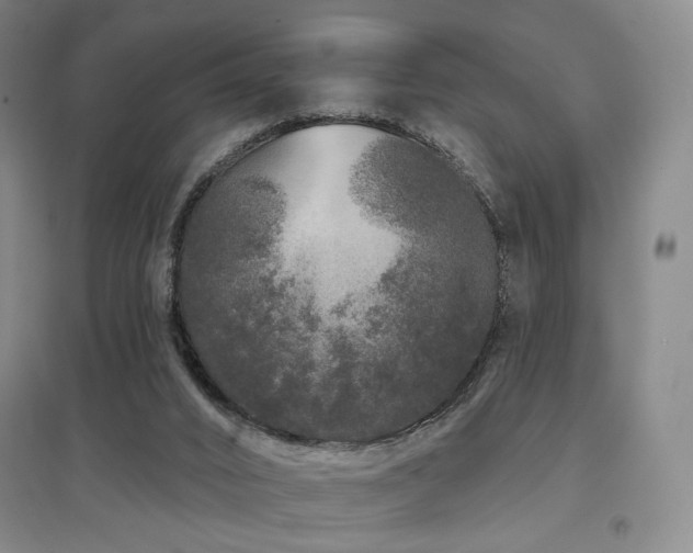 X0000097470016200802221246