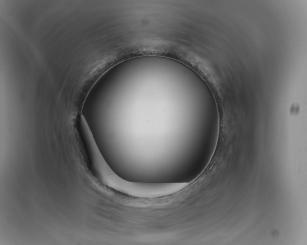 X0000097470017200802221246