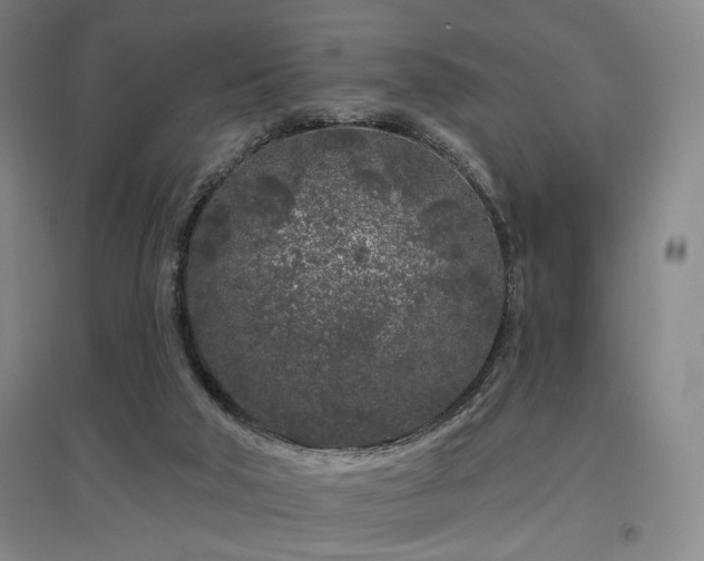 X0000097470018200802221246
