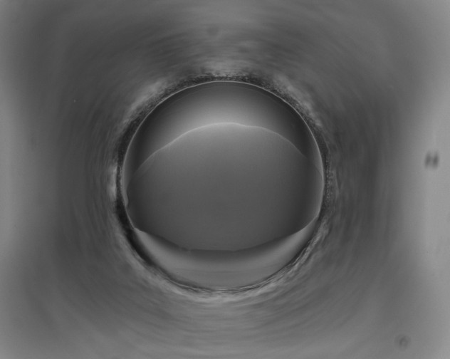 X0000097470019200802221246