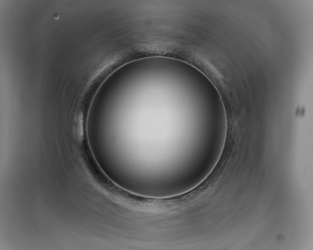 X0000097470020200802221246