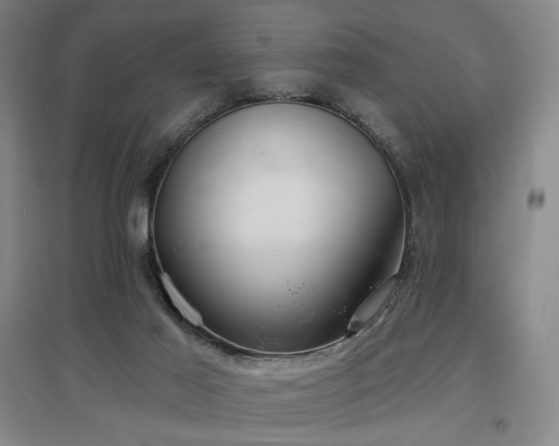 X0000097470021200802221246
