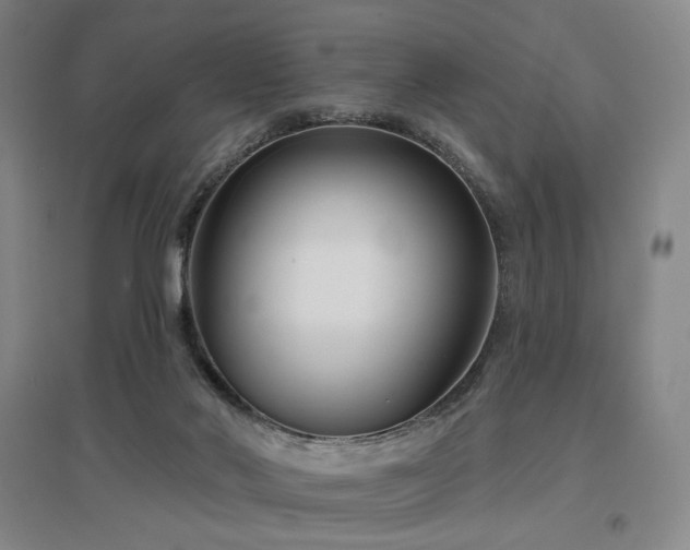 X0000097470022200802221246