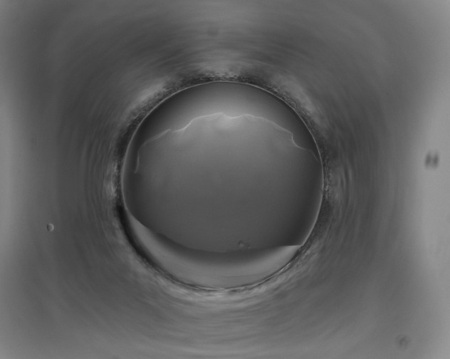 X0000097470023200802221246