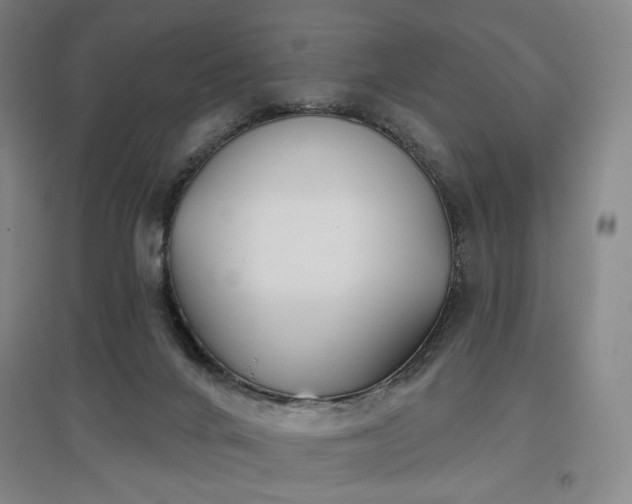 X0000097470024200802221246