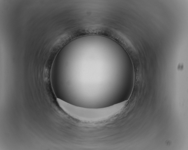 X0000097470025200802221246