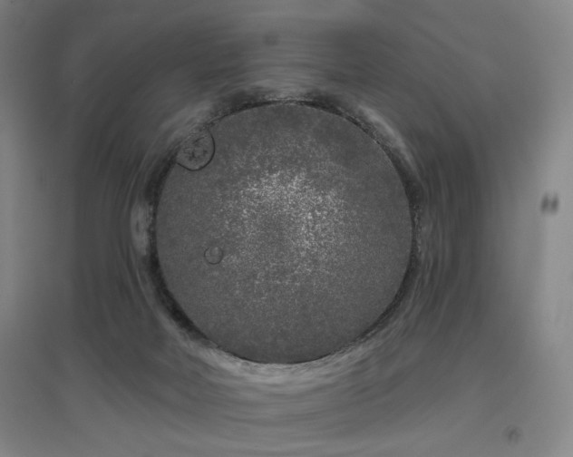 X0000097470026200802221246