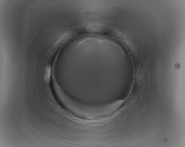 X0000097470027200802221246