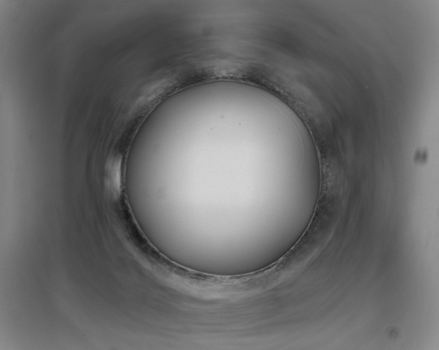 X0000097470028200802221246