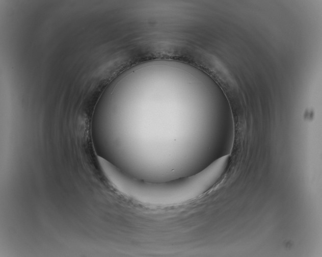 X0000097470029200802221246