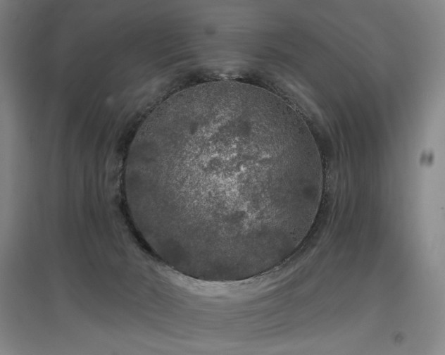 X0000097470030200802221246